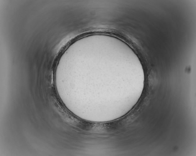 X0000114411267200911061552