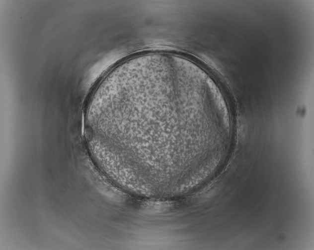 X0000114411269200911061552