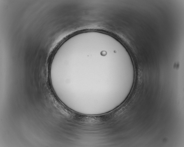 X0000114411270200911061552