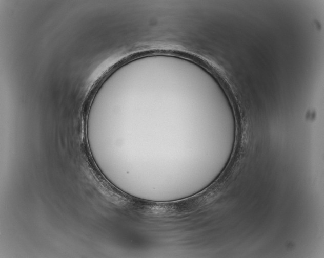 X0000114411271200911061552