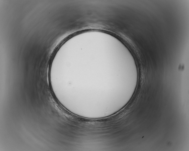 X0000114411272200911061552