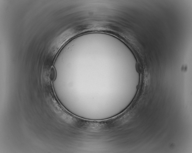 X0000114411273200911061552