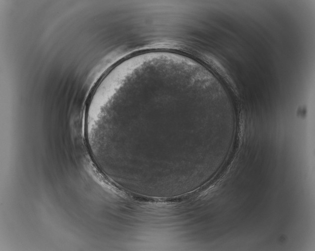 X0000114411276200911061552