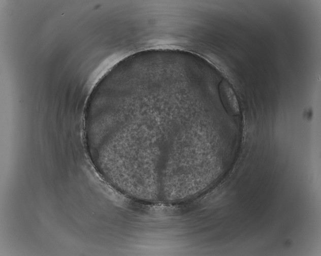 X0000114411277200911061552