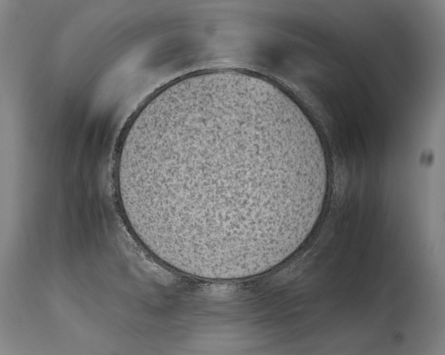 X0000114411278200911061552