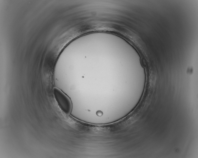 X0000114411281200911061552