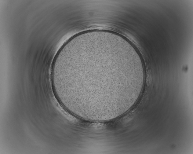 X0000114411283200911061552