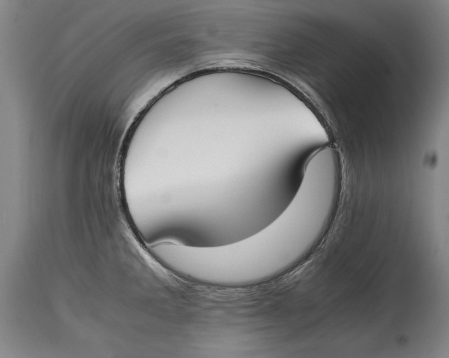 X0000114411285200911061552