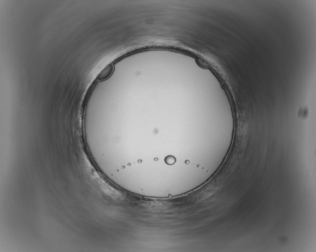 X0000114411287200911061552