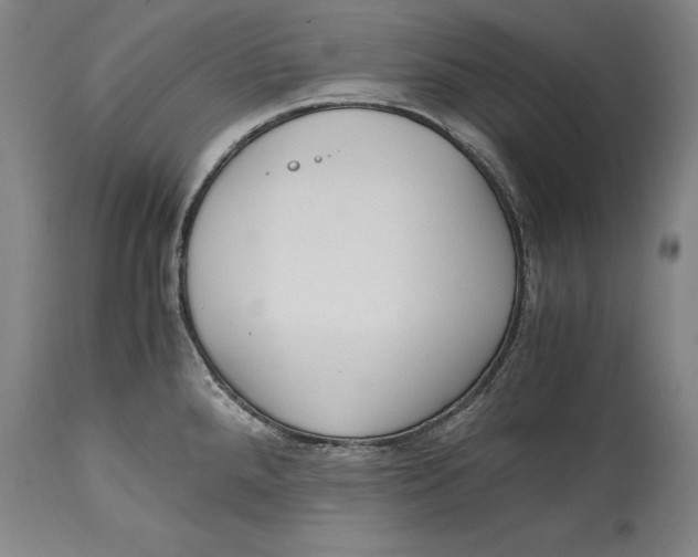 X0000114411288200911061552