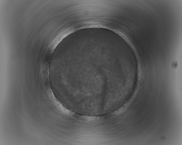 X0000114411289200911061552