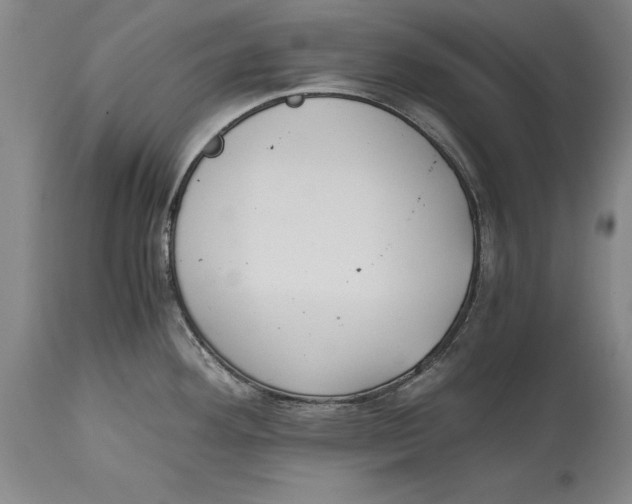 X0000114411292200911061552