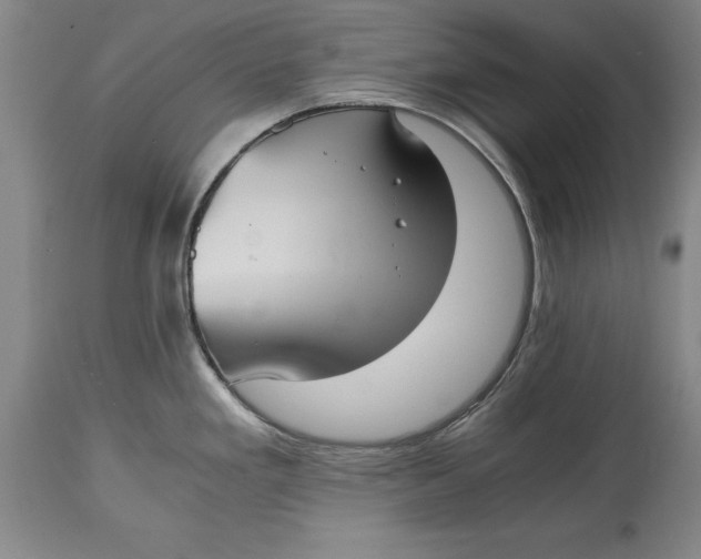 X0000114411293200911061552