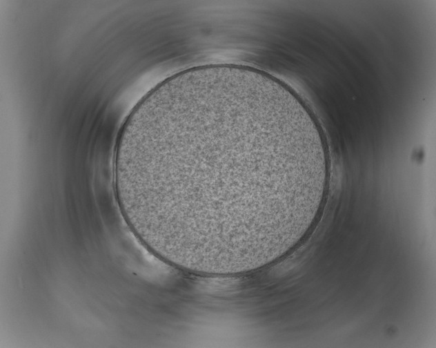 X0000114411294200911061552