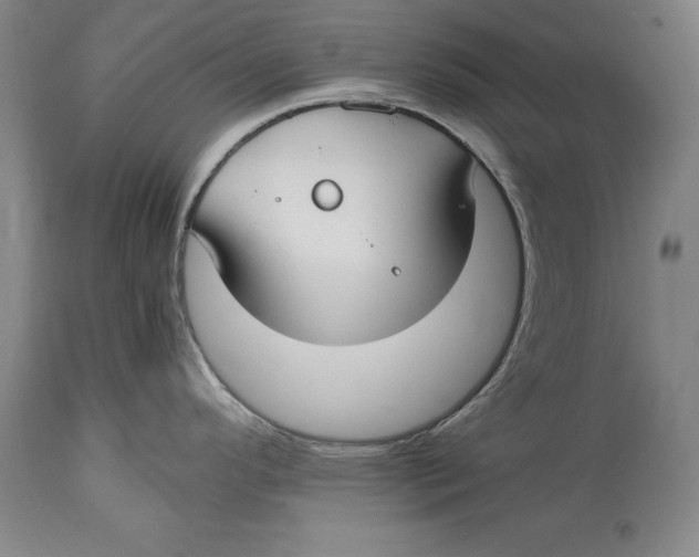 X0000114411296200911061552