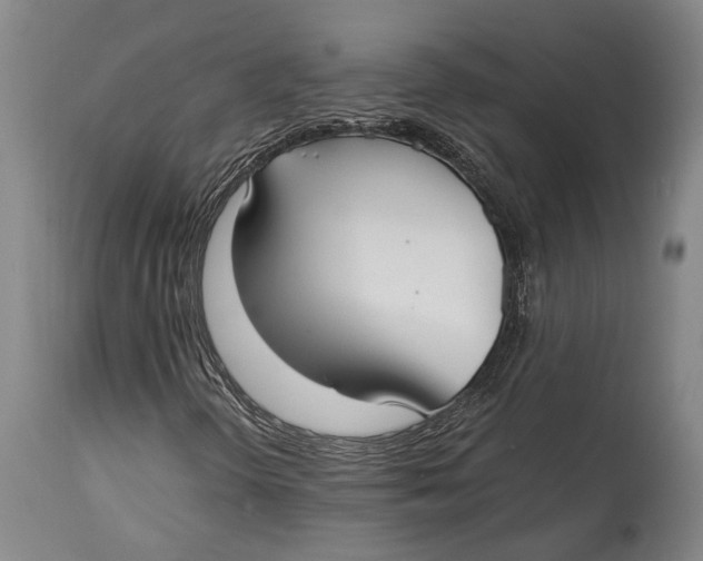 X0000114411298200911061551