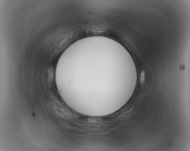 X0000114411299200911061551