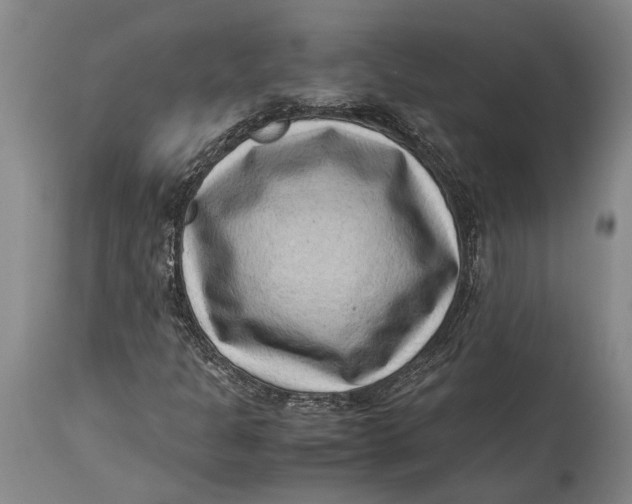 X0000114411301200911061551