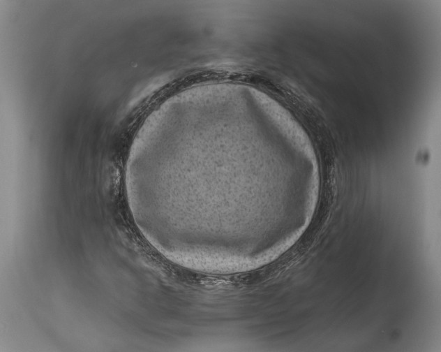 X0000114411302200911061551