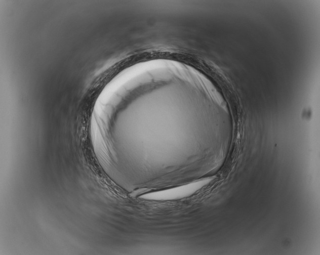 X0000114411303200911061551