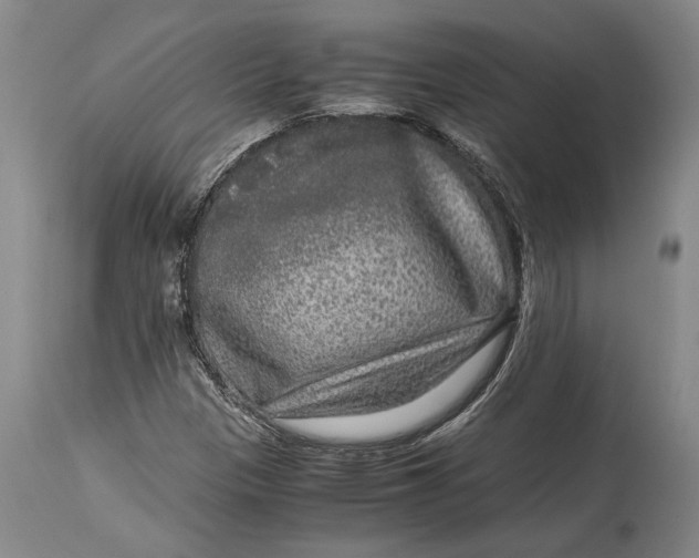 X0000114411305200911061551