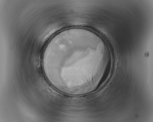 X0000114411306200911061551