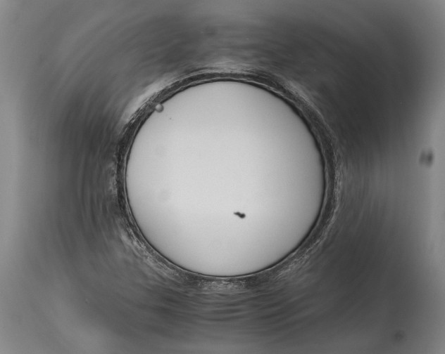 X0000114411307200911061551