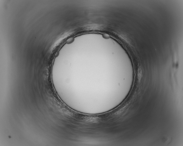 X0000114411309200911061551