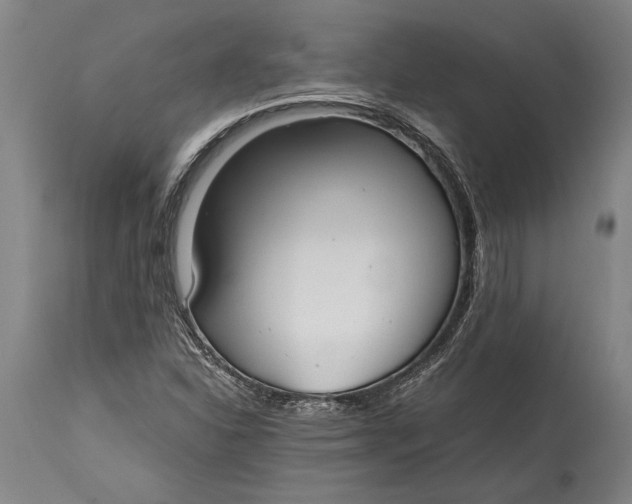 X0000114411310200911061551