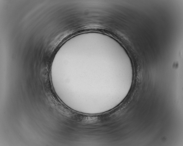 X0000114411313200911061551