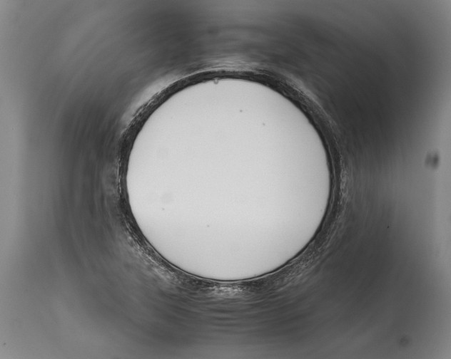 X0000114411315200911061551