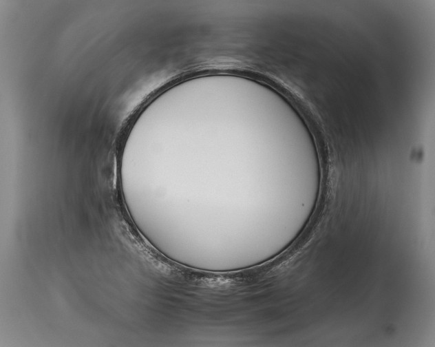 X0000114411317200911061551