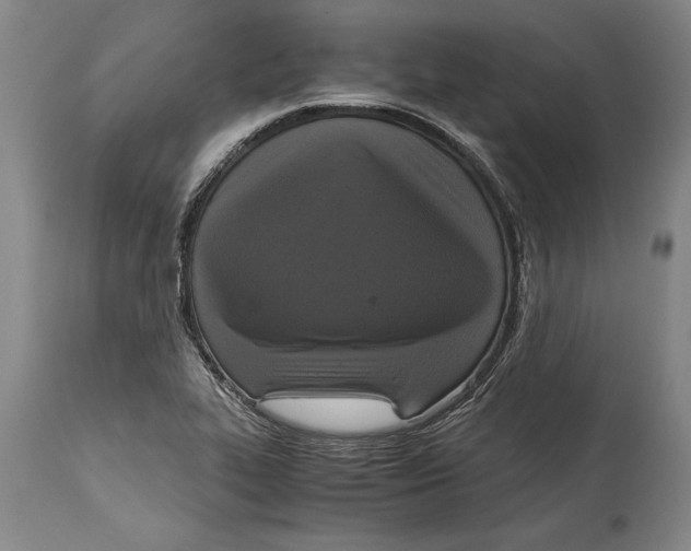 X0000114411319200911061551