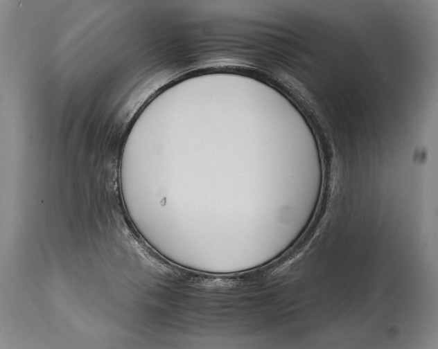 X0000114411321200911061551