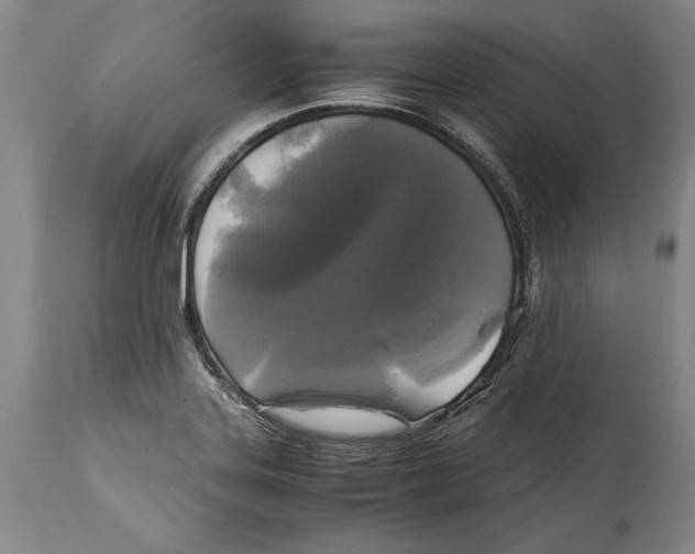 X0000114411323200911061551