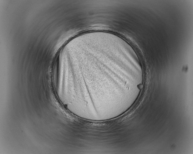 X0000114411325200911061551