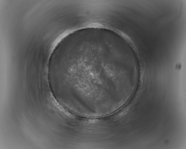 X0000114411326200911061551