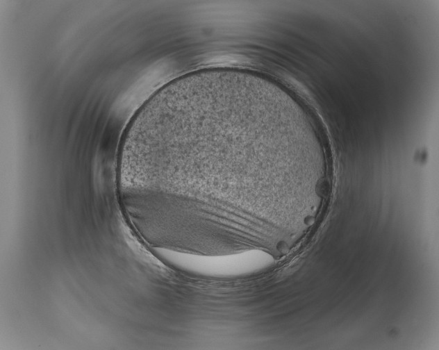 X0000114411330200911061551