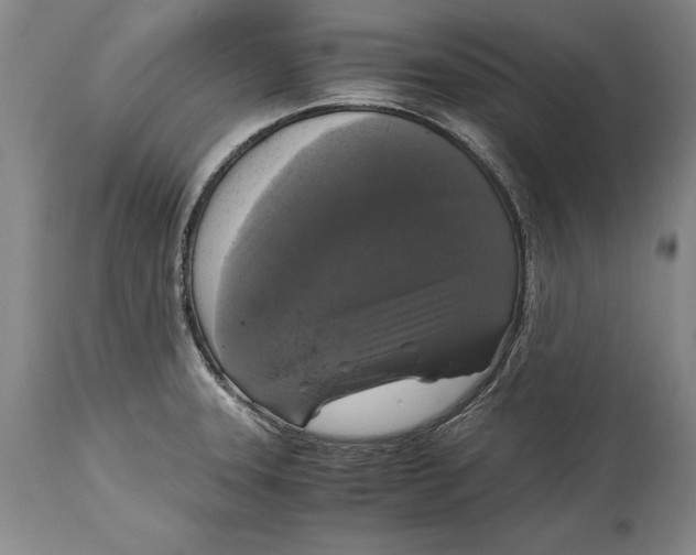 X0000114411331200911061551