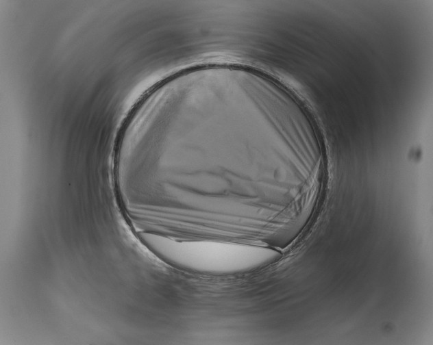 X0000114411334200911061552