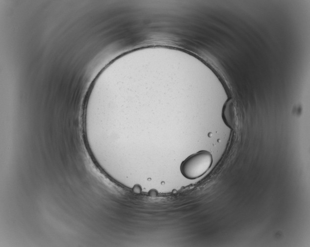 X0000114411339200911061552