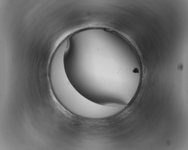 X0000114411342200911061552