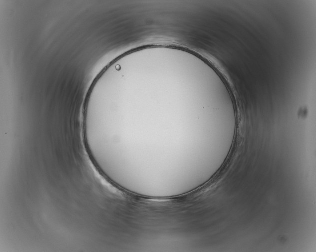 X0000114411343200911061552