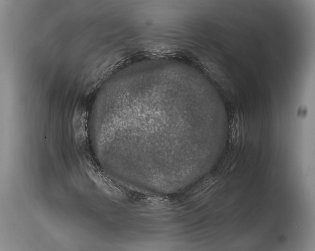 X0000114411346200911061551