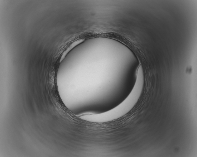 X0000114411348200911061551