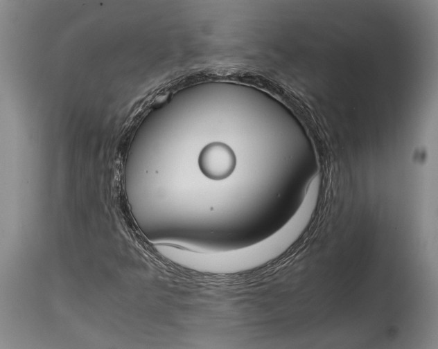 X0000114411349200911061551