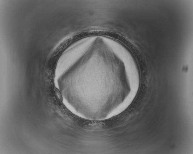 X0000114411351200911061551