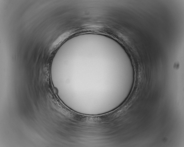 X0000114411354200911061551