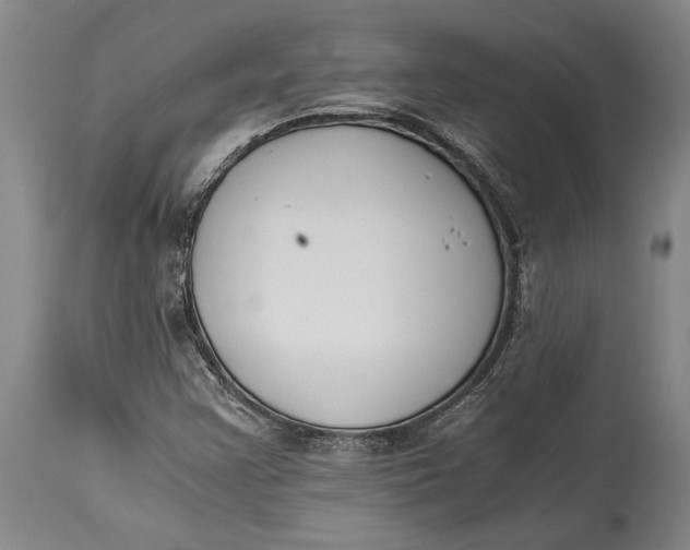 X0000114411355200911061551