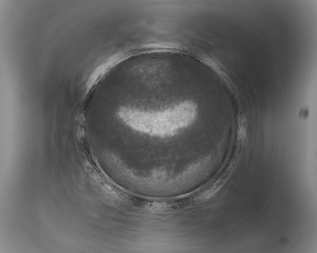 X0000114411357200911061551